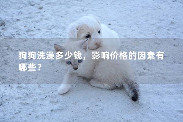 狗狗洗澡多少钱,影响价格的因素有哪些? 狗狗洗澡多少钱,影响价格的因素有哪些?