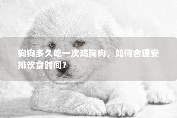 狗狗多久吃一次鸡胸肉，如何合理安排饮食时间？