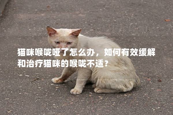猫咪喉咙哑了怎么办,如何有效缓解和治疗猫咪的喉咙不适? 猫咪喉咙哑了怎么办,如何有效缓解和治疗猫咪的喉咙不适?