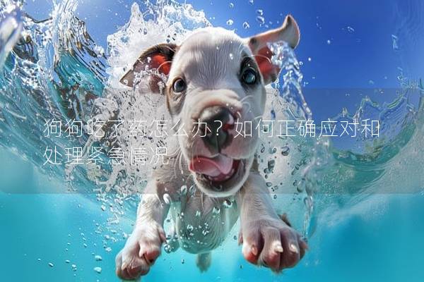 狗狗吃了药怎么办？如何正确应对和处理紧急情况