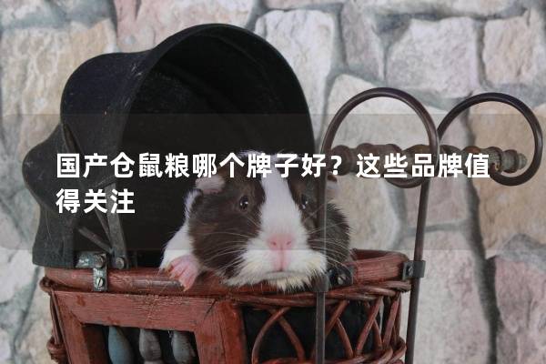 国产仓鼠粮哪个牌子好？这些品牌值得关注
