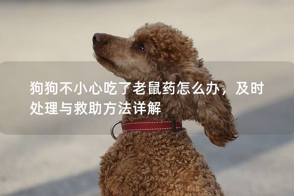 狗狗不小心吃了老鼠药怎么办,及时处理与救助方法详解 狗狗不小心吃了老鼠药怎么办,及时处理与救助方法详解