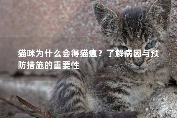 猫咪为什么会得猫瘟？了解病因与预防措施的重要性