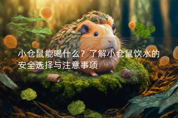 小仓鼠能喝什么？了解小仓鼠饮水的安全选择与注意事项