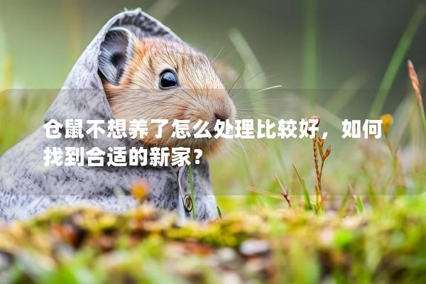 仓鼠不想养了怎么处理比较好，如何找到合适的新家？