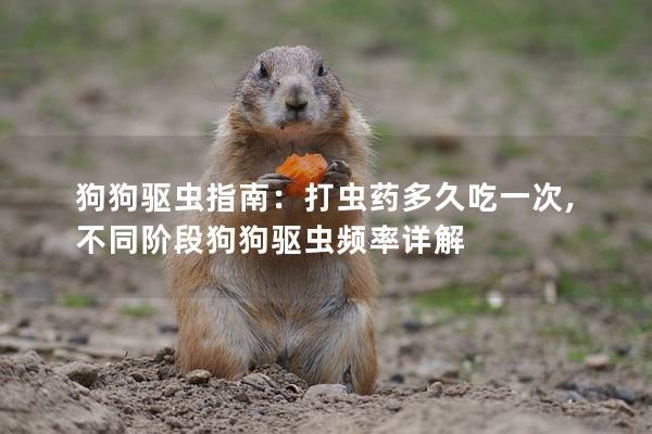 狗狗驱虫指南:打虫药多久吃一次,不同阶段狗狗驱虫频率详解 狗狗驱虫指南:打虫药多久吃一次,不同阶段狗狗驱虫频率详解