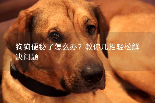 狗狗便秘了怎么办?教你几招轻松解决问题 狗狗便秘了怎么办?教你几招轻松解决问题