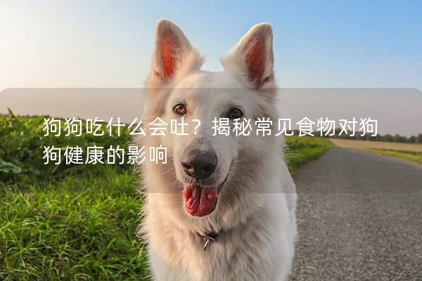 狗狗吃什么会吐？揭秘常见食物对狗狗健康的影响
