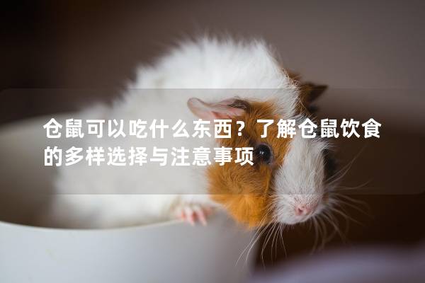 仓鼠可以吃什么东西？了解仓鼠饮食的多样选择与注意事项