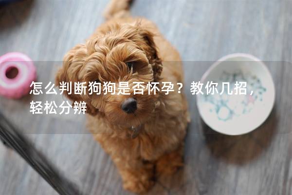 怎么判断狗狗是否怀孕？教你几招，轻松分辨