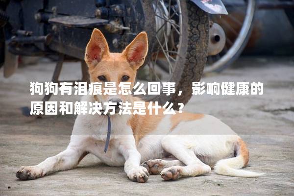 狗狗有泪痕是怎么回事，影响健康的原因和解决方法是什么？