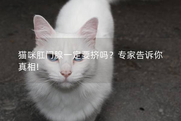 猫咪肛门腺一定要挤吗？专家告诉你真相!