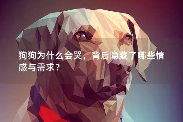 狗狗为什么会哭，背后隐藏了哪些情感与需求？