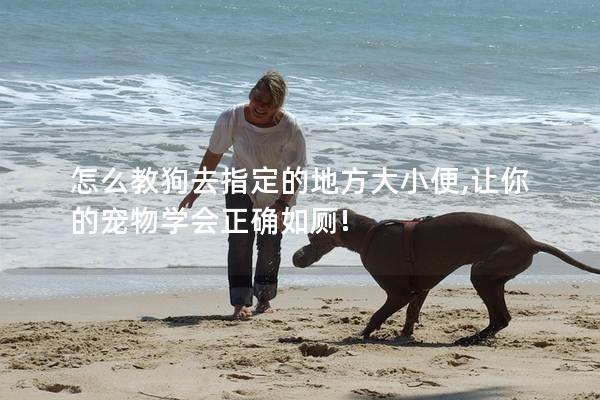 怎么教狗去指定的地方大小便,让你的宠物学会正确如厕!