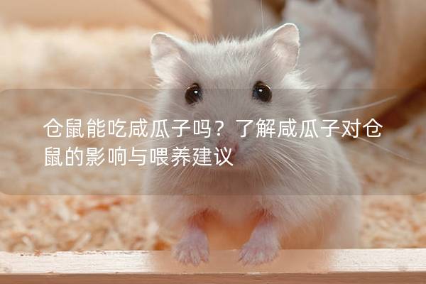 仓鼠能吃咸瓜子吗？了解咸瓜子对仓鼠的影响与喂养建议
