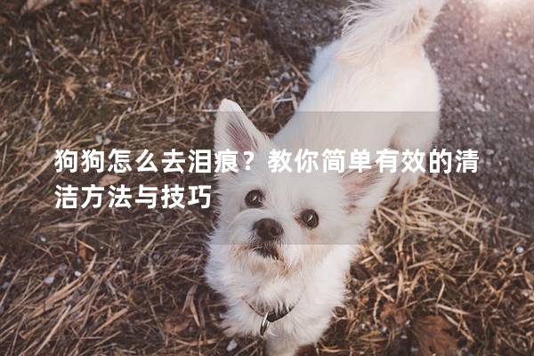 狗狗怎么去泪痕?教你简单有效的清洁方法与技巧 狗狗怎么去泪痕?教你简单有效的清洁方法与技巧