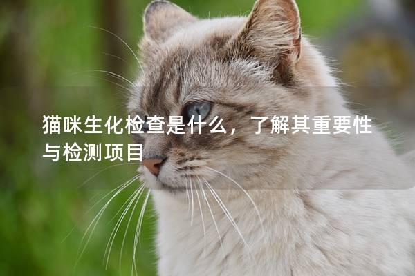 猫咪生化检查是什么，了解其重要性与检测项目