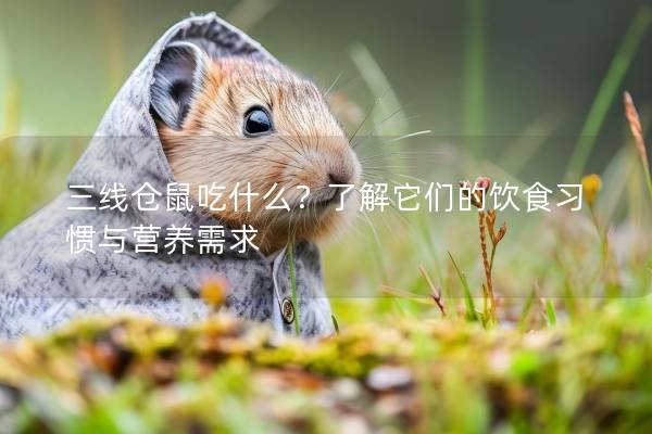三线仓鼠吃什么？了解它们的饮食习惯与营养需求