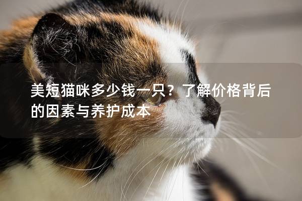 美短猫咪多少钱一只?了解价格背后的因素与养护成本 美短猫咪多少钱一只?了解价格背后的因素与养护成本