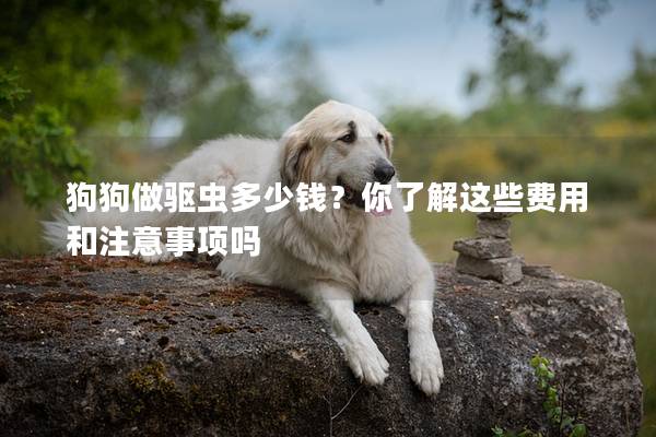 狗狗做驱虫多少钱？你了解这些费用和注意事项吗