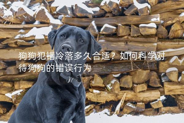 狗狗犯错冷落多久合适？如何科学对待狗狗的错误行为