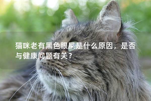 猫咪老有黑色眼屎是什么原因，是否与健康问题有关？