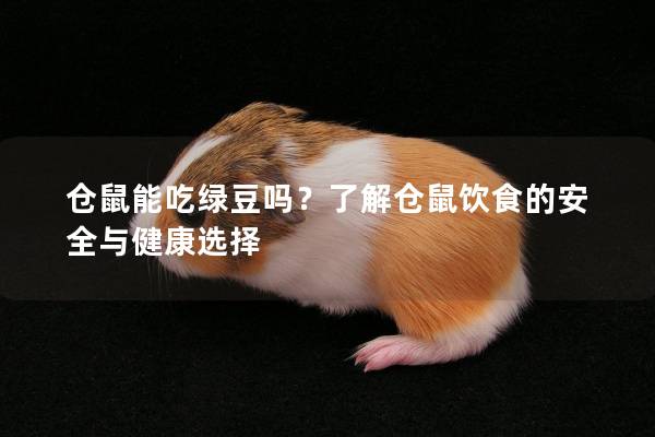 仓鼠能吃绿豆吗？了解仓鼠饮食的安全与健康选择
