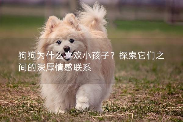 狗狗为什么喜欢小孩子？探索它们之间的深厚情感联系