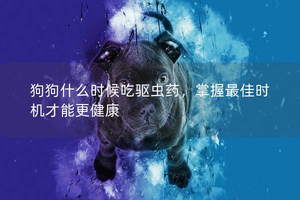 狗狗什么时候吃驱虫药，掌握最佳时机才能更健康