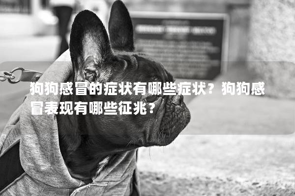狗狗感冒的症状有哪些症状？狗狗感冒表现有哪些征兆？