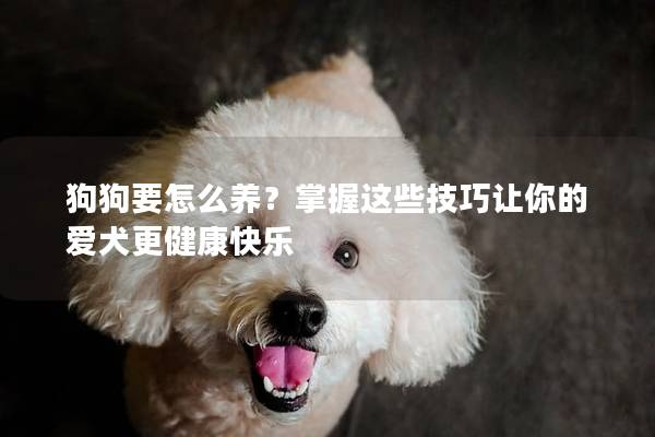 狗狗要怎么养?掌握这些技巧让你的爱犬更健康快乐 狗狗要怎么养?掌握这些技巧让你的爱犬更健康快乐