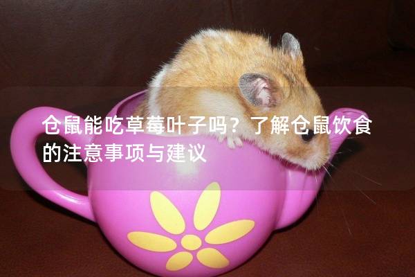 仓鼠能吃草莓叶子吗？了解仓鼠饮食的注意事项与建议
