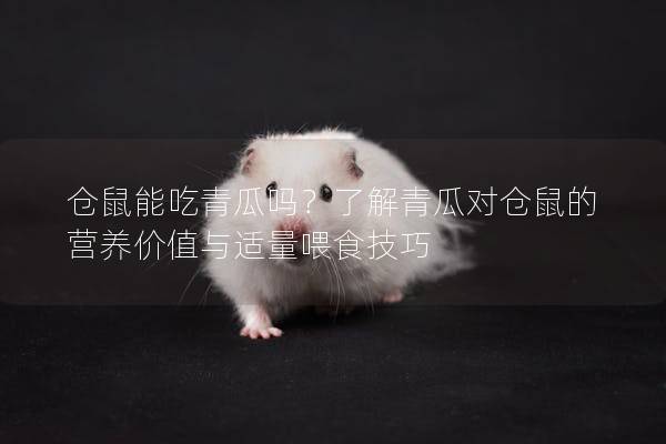 仓鼠能吃青瓜吗？了解青瓜对仓鼠的营养价值与适量喂食技巧