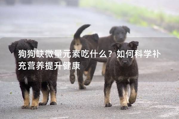 狗狗缺微量元素吃什么？如何科学补充营养提升健康