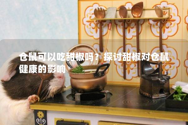 仓鼠可以吃甜椒吗？探讨甜椒对仓鼠健康的影响