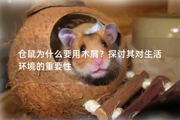 仓鼠为什么要用木屑？探讨其对生活环境的重要性