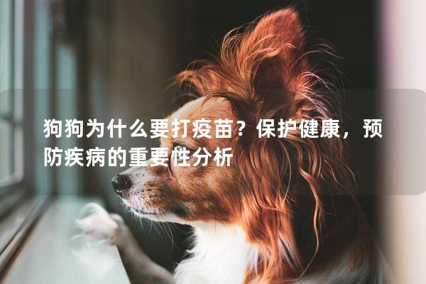 狗狗为什么要打疫苗?保护健康,预防疾病的重要性分析 狗狗为什么要打疫苗?保护健康,预防疾病的重要性分析