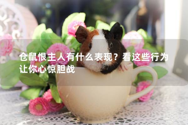 仓鼠恨主人有什么表现？看这些行为让你心惊胆战