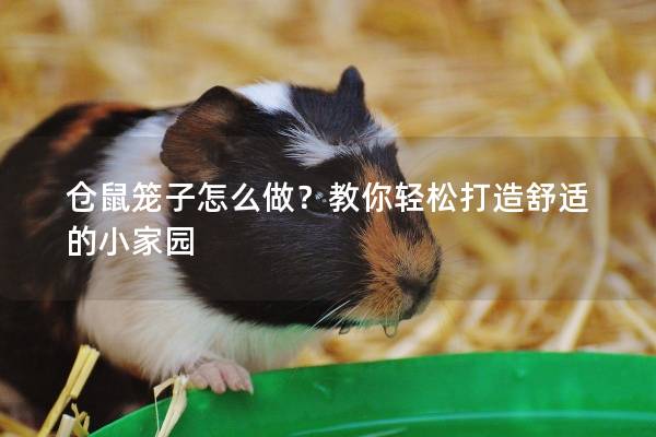 仓鼠笼子怎么做？教你轻松打造舒适的小家园