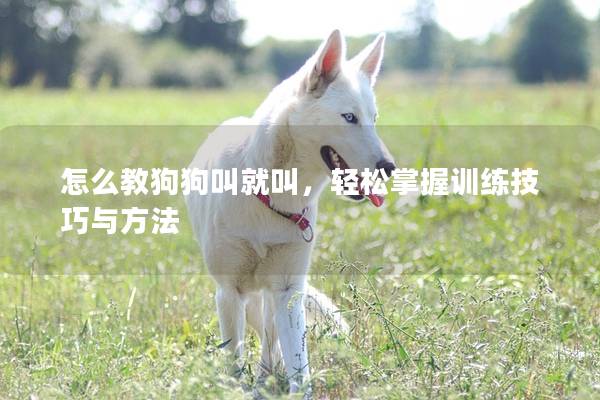 怎么教狗狗叫就叫，轻松掌握训练技巧与方法