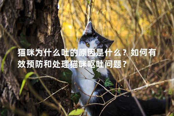 猫咪为什么吐的原因是什么？如何有效预防和处理猫咪呕吐问题？