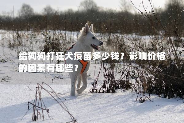 给狗狗打狂犬疫苗多少钱？影响价格的因素有哪些？