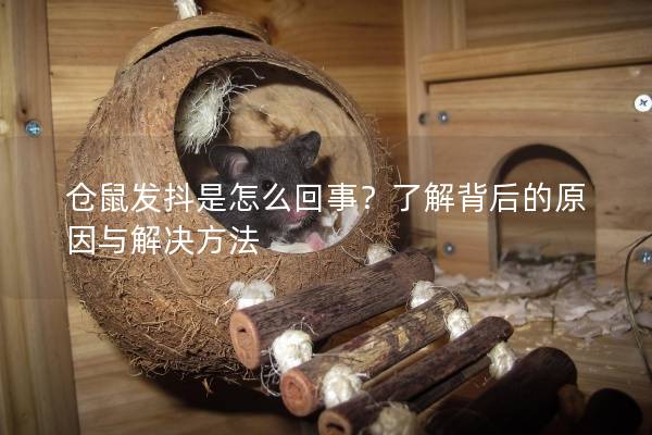 仓鼠发抖是怎么回事？了解背后的原因与解决方法