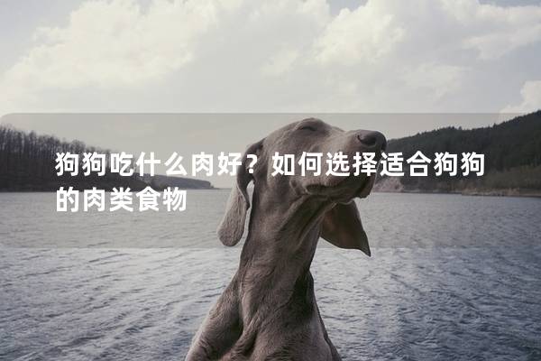 狗狗吃什么肉好？如何选择适合狗狗的肉类食物