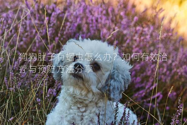 狗狗肚子有蛔虫怎么办？如何有效治疗与预防方法分享