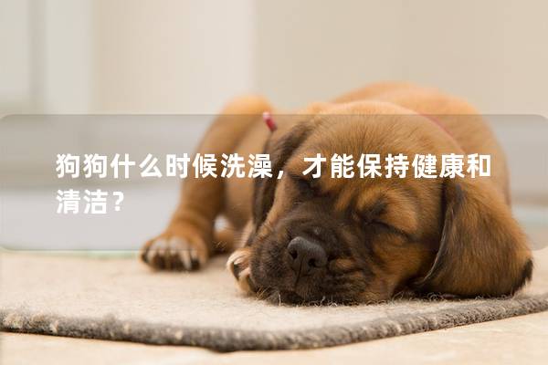 狗狗什么时候洗澡，才能保持健康和清洁？
