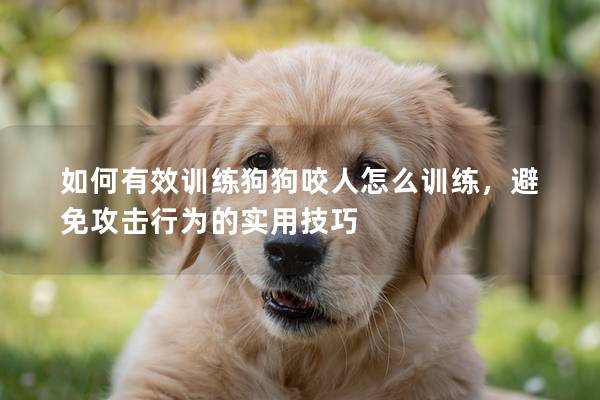 如何有效训练狗狗咬人怎么训练，避免攻击行为的实用技巧