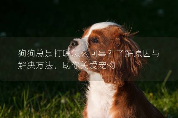 狗狗总是打嗝怎么回事？了解原因与解决方法，助你关爱宠物