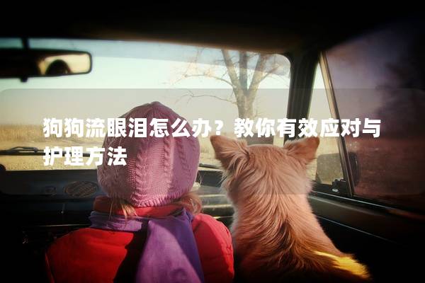 狗狗流眼泪怎么办？教你有效应对与护理方法
