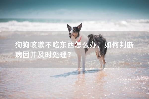 狗狗咳嗽不吃东西怎么办,如何判断病因并及时处理? 狗狗咳嗽不吃东西怎么办,如何判断病因并及时处理?